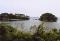 556.jpg