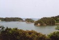 557.jpg